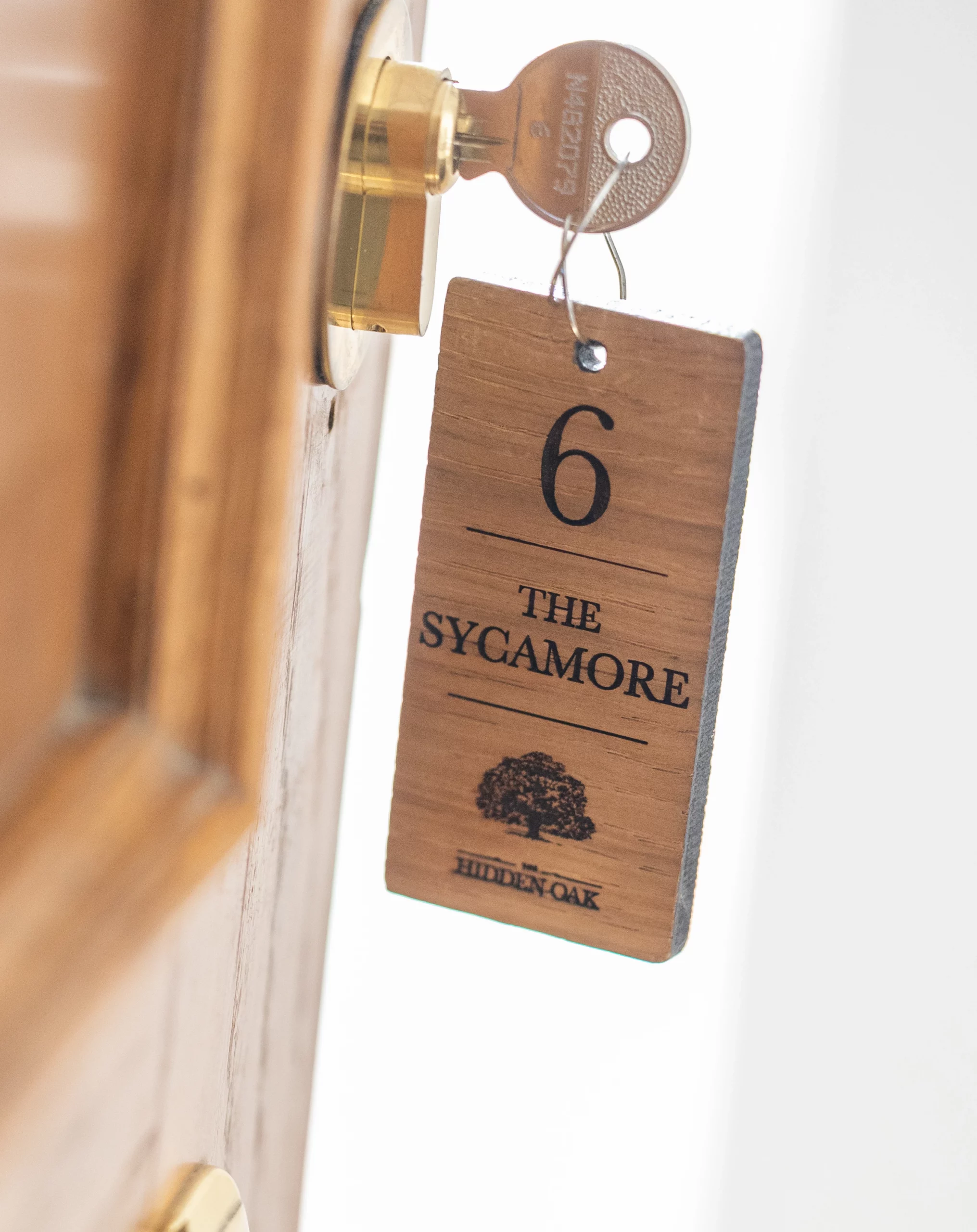 The Sycamore