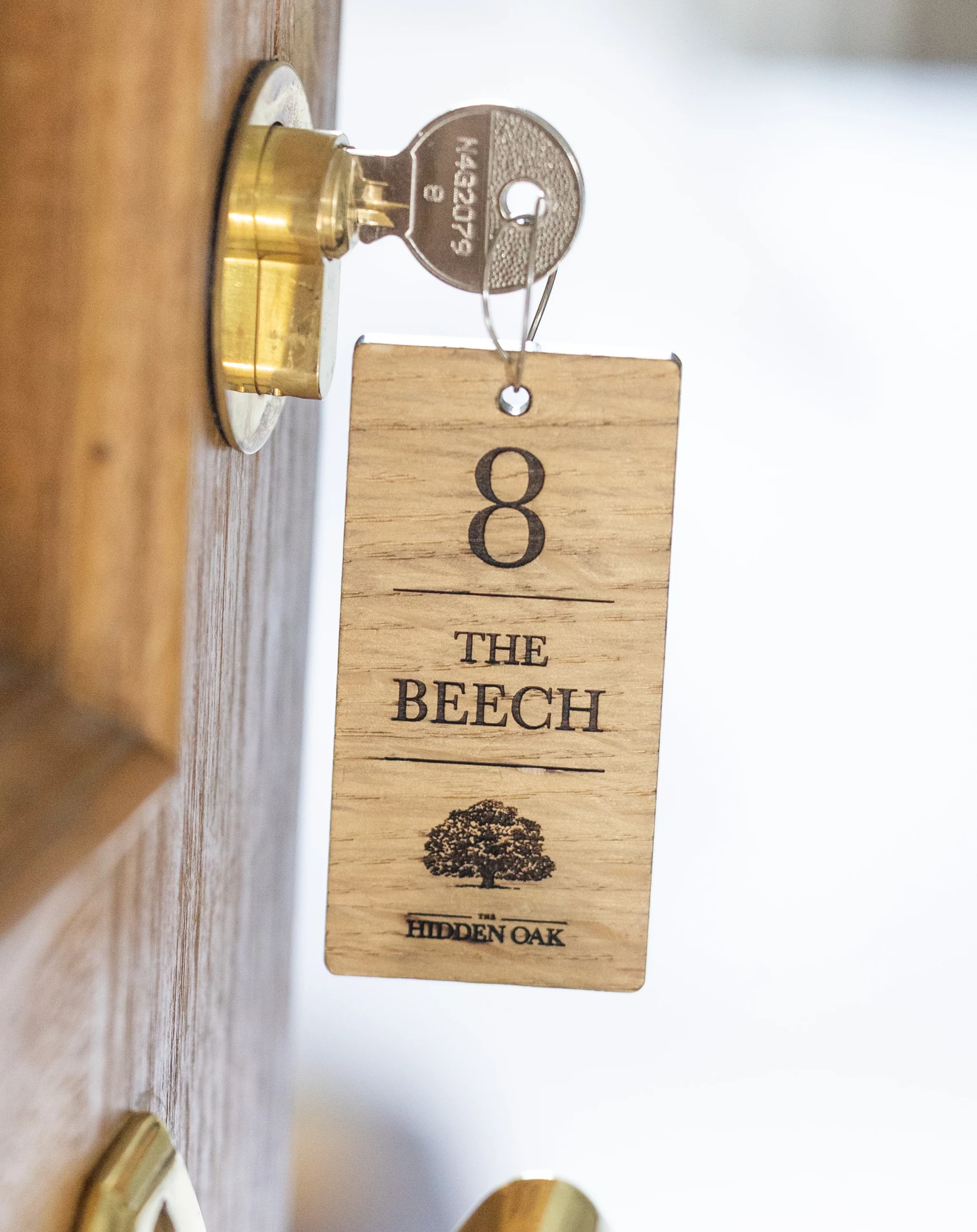 The Beech
